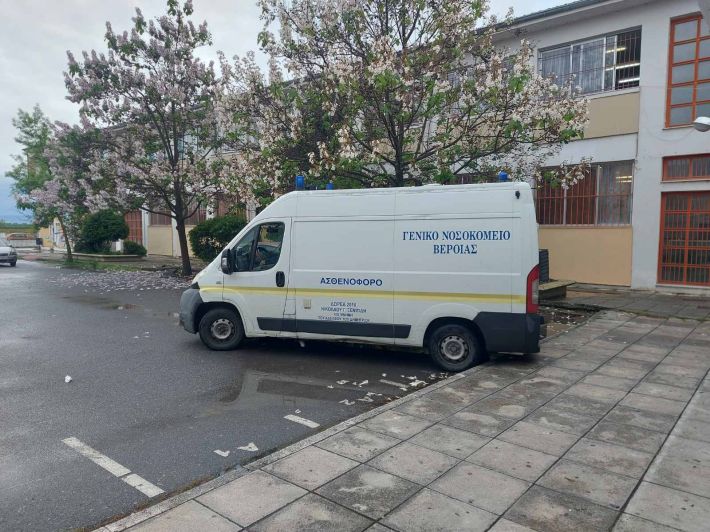 αιμοδοσία επαλαλεξάνδρειας 2